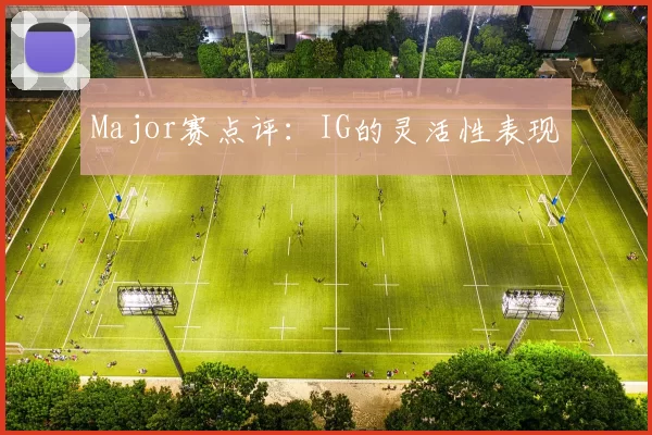 Major赛点评：IG的灵活性表现