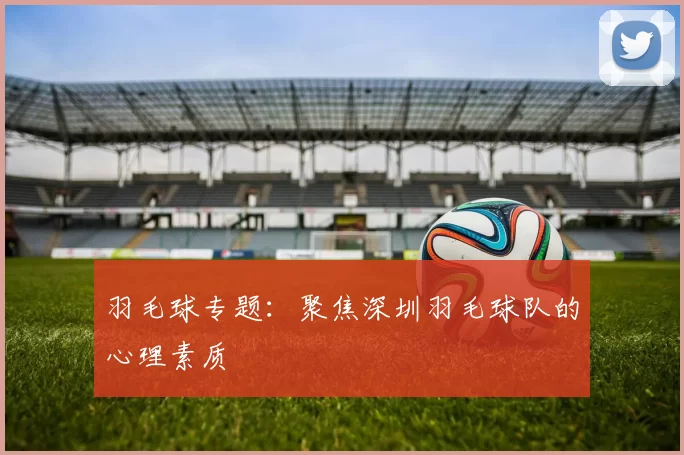 羽毛球专题：聚焦深圳羽毛球队的心理素质