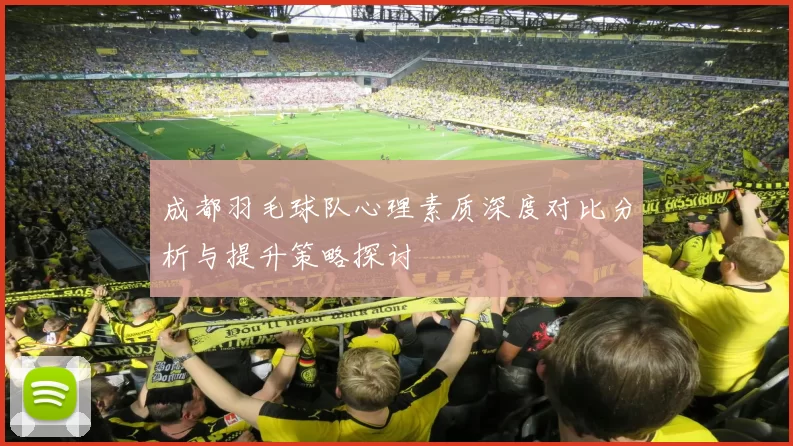 成都羽毛球队心理素质深度对比分析与提升策略探讨